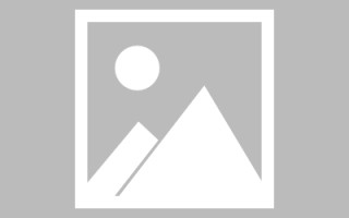沙洋网站建设维护需要（网站建设维护需要哪些资料）